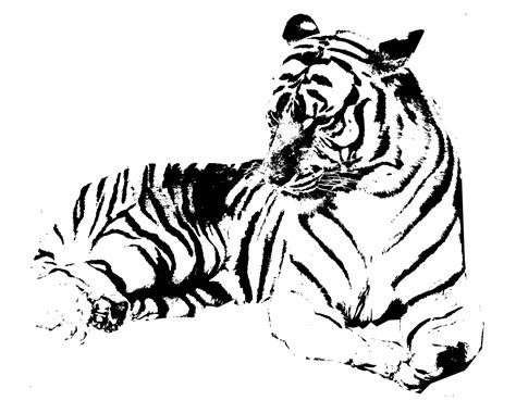 Tiger Stencil by AirGraffiti on DeviantArt