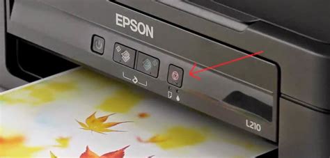 How To Eliminate It Is Time To Reset Ink Levels On Epson Continuous