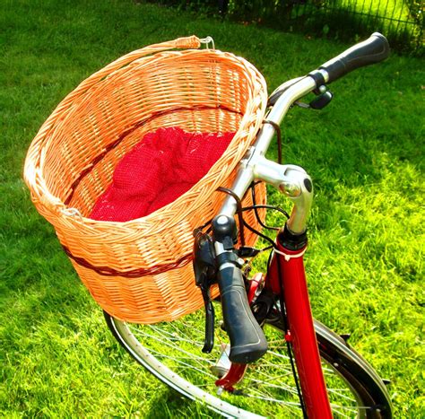 A Women’s Cruiser Bike with Basket to Live the Dream! – Peace Bicycles