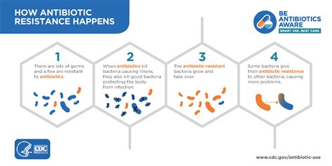 What Is Antibiotic Resistance And Why Should You Care Vybe Urgent Care