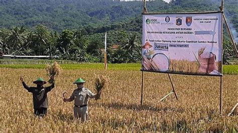 Jaga Ketahanan Pangan Pemprov Dki Kolaborasi Dengan Daerah Lain