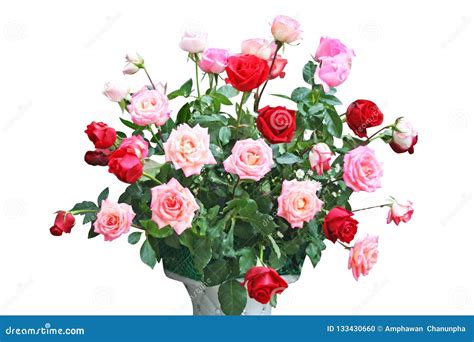 Colorful Bouquet Of Roses In Vase Stock Photo - Image of green, group ...