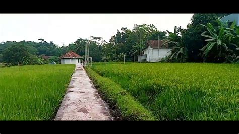 Healing To Village Dusun Tarikolot Maleber Kuningan YouTube