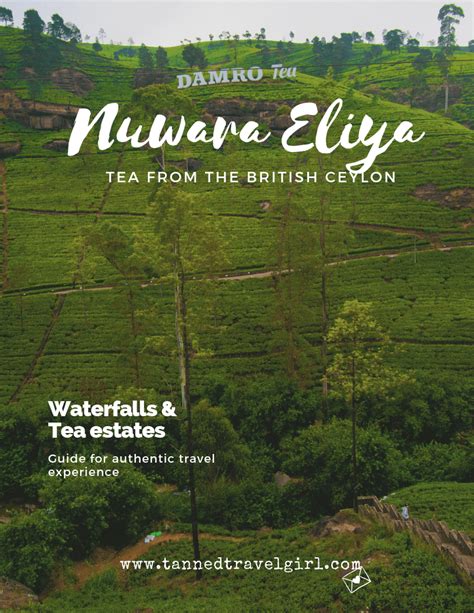 Nuwara Eliya: Tea Estates and Waterfalls (2019 Travel Guide) — TannedTravelGirl