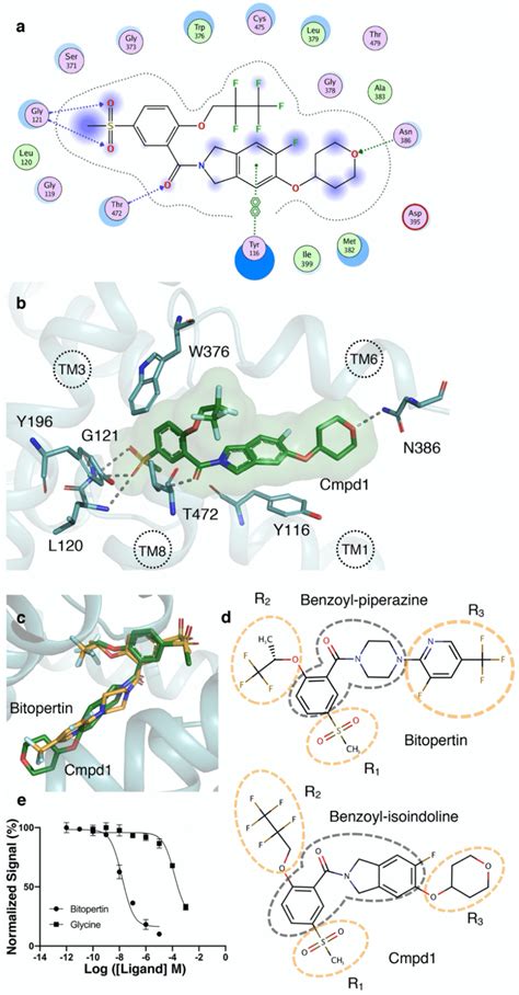 Binding Pocket A Protein Ligand Interactions Diagram Calculated