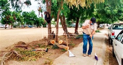 Más de 38 mil toneladas de basura ha retirado Servicios Públicos de Los