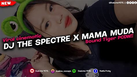 DJ OLD SPECTRE X MAMA MUDA SOUND BAMBOE ESTETOD X TIGER PCDW VIRAL