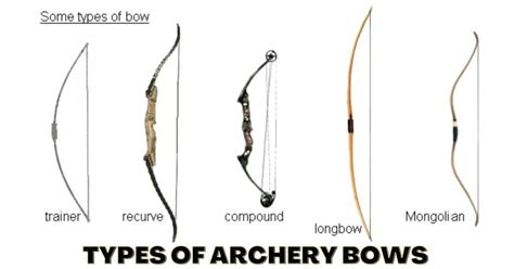 Types of Archery Bows [Beginners Guide 2022]