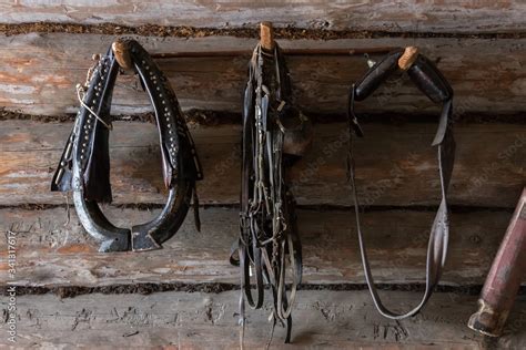 horse harness, accessories for managing a horse, yoke, saddle, arc, reins, bridle, rein, harness ...