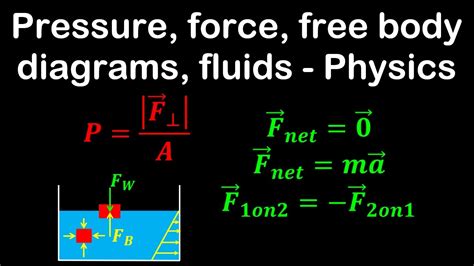 Pressure Forces Free Body Diagrams Fluids Physics Youtube