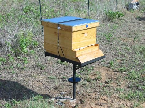 Txgunnuts Image Backyard Beekeeping Bee Keeping Bee Hives Diy