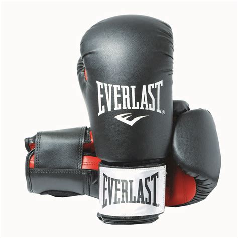 Best Everlast Heavy Bag Gloves Literacy Basics