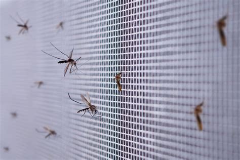 How To Stop Bugs From Getting In Through Your Vents Sun Heating