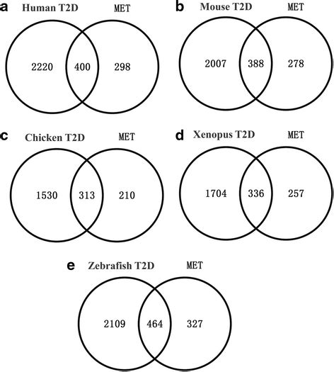 Carbohydrates And Lipids Venn Diagram