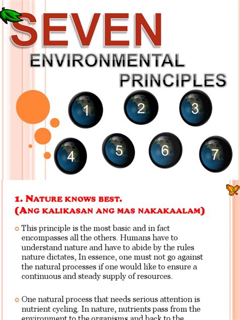 7 Environmental Principles Ecosystem Resource