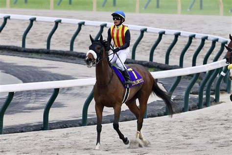 【秋華賞】調教後の馬体重桜花賞馬ステレンボッシュはプラス20キロ（競馬のおはなし） Yahooニュース