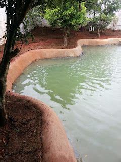 Como Fazer Um Lago Ornamental Parte Oficina Do Peixe Diy Pool