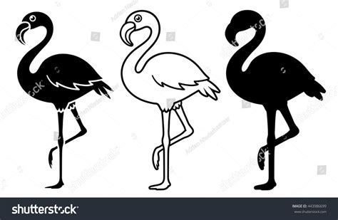 Flamingo Silhouettes Set Isolated On White Stock Vector Royalty Free