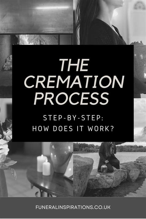 The Cremation Process Cremation Process Cremation Cremation Services