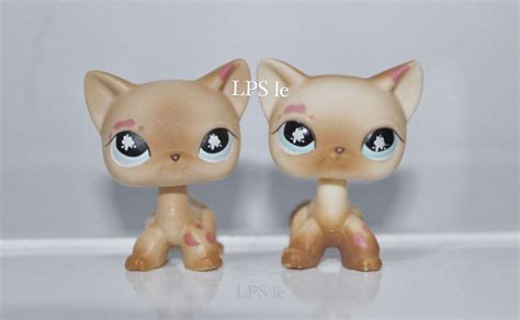 Lps Short Hair Lps Fake Vs Real Lps 816 Little Pet Shop Little Pets