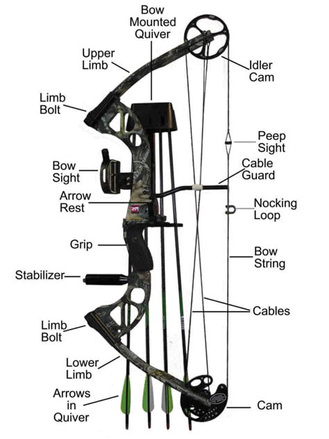 The Best Beginner Bows For Target Archery SkyAboveUs