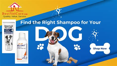 Find the Right Shampoo for Your Dog by BestVetCareus - Issuu