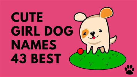 Cute Girl Dog Names - 43 BEST Ideas! | PetShoper