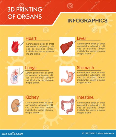 Bioprinting Concept, 3D Printing of the Liver, Stomach, Lungs, Kidneys