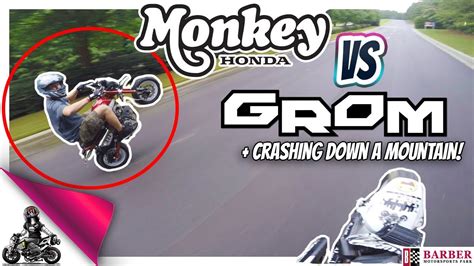 Honda Grom Vs Monkey Images And Photos Finder