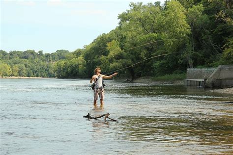 Fly Fishing In The Mississippi River Minnesota