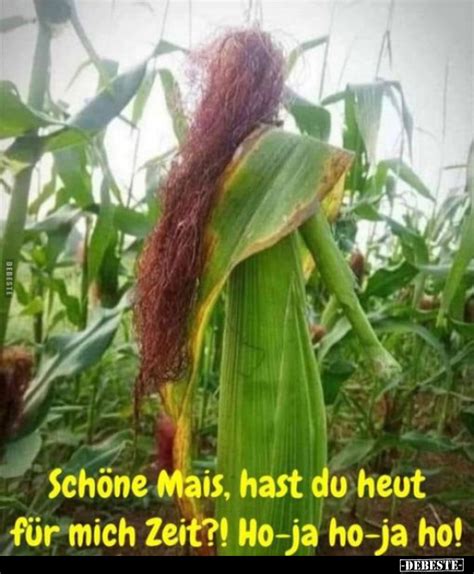 Schöne Mais hast du heut für mich Zeit Ho ja ho ja DEBESTE de