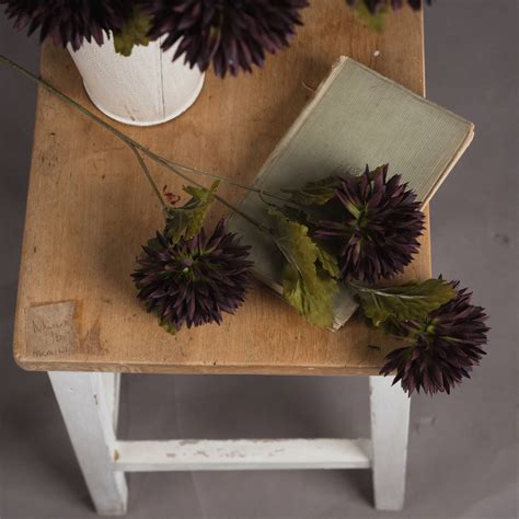 Chocolate Chrysanthemum Wholesale By Hill Interiors