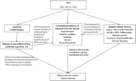 Ijms Free Full Text Systemic Inflammatory Response And Atherosclerosis The Paradigm Of