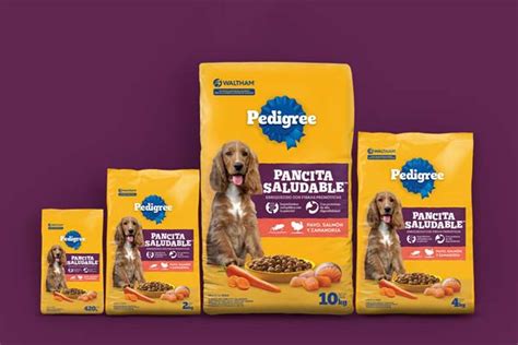 Pedigree Pancita Saludable Una Nueva Opci N Para La Salud Digestiva De