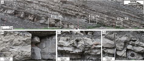 A Photomosaic Of The Caoying Section Position Shown In Figure