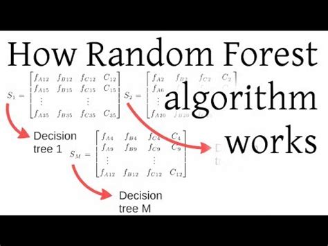 How Random Forest Algorithm Works