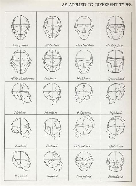 different types of heads | Face drawing, Anatomy drawing, Drawing heads