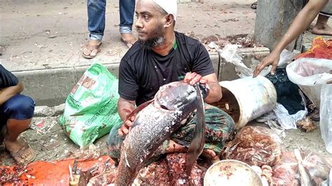 Fish Cutting Expert Live Big Head Carp Fish Cutting In Dhaka Fish