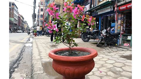 Green Kathmandu