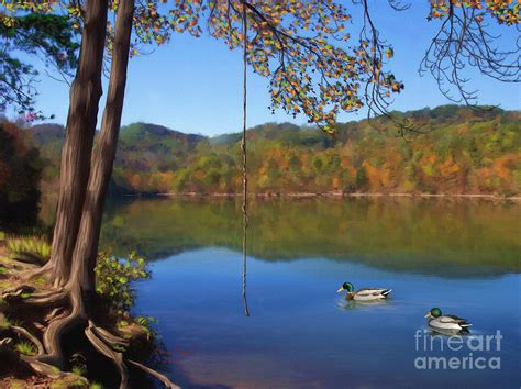 The Swimming Hole Digital Art By Lena Auxier Fine Art America