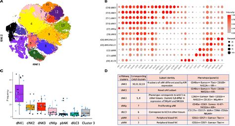 Figure From How Do Uterine Natural Killer And Innate Lymphoid Cells