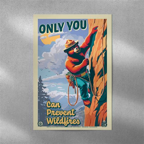 Only You Can Prevent Wildfires Rock Climbing Smokey Bear Commemorative