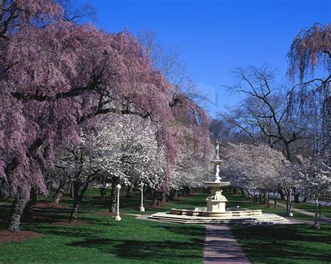 A Park With Lots Of Trees And Flowers