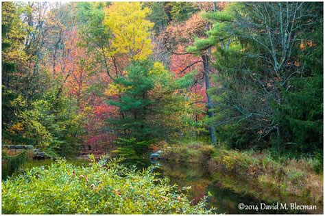 Photographing Fall Foliage | Positive Negatives