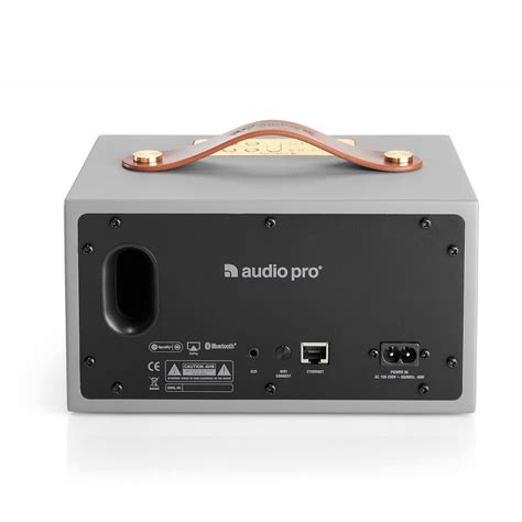 Audio Pro Addon C3 Wireless Multiroom-Lautsprecher mit Akku grau kaufen ...