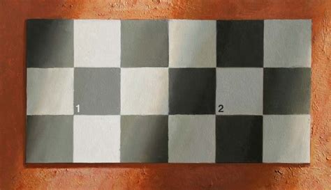 Gurney Journey Checkerboard Illusion