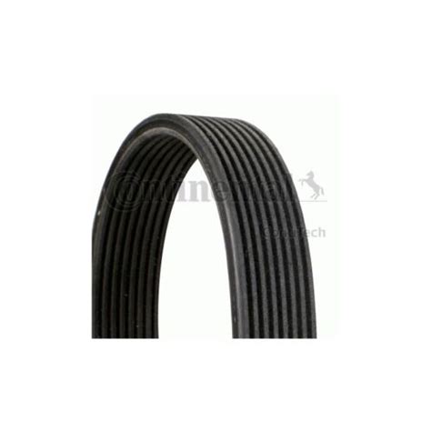 CONTITECH 8 DPK 1831 V Ribbed Belts 8DPK1833 EBay