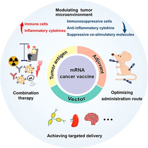 mRNA Cancer Vaccines: Construction and Boosting Strategies | ACS Nano 