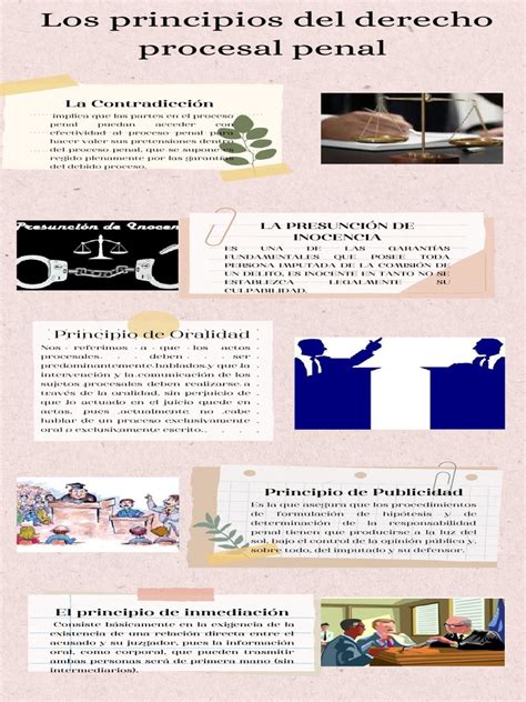 Infografía De Los Principios Del Derecho Procesal Penal Pdf