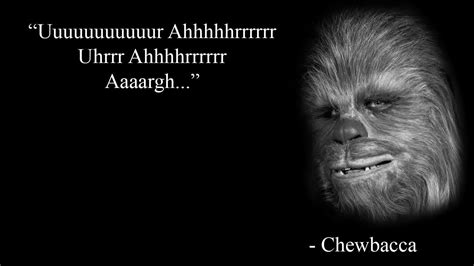 The best Chewbacca memes :) Memedroid